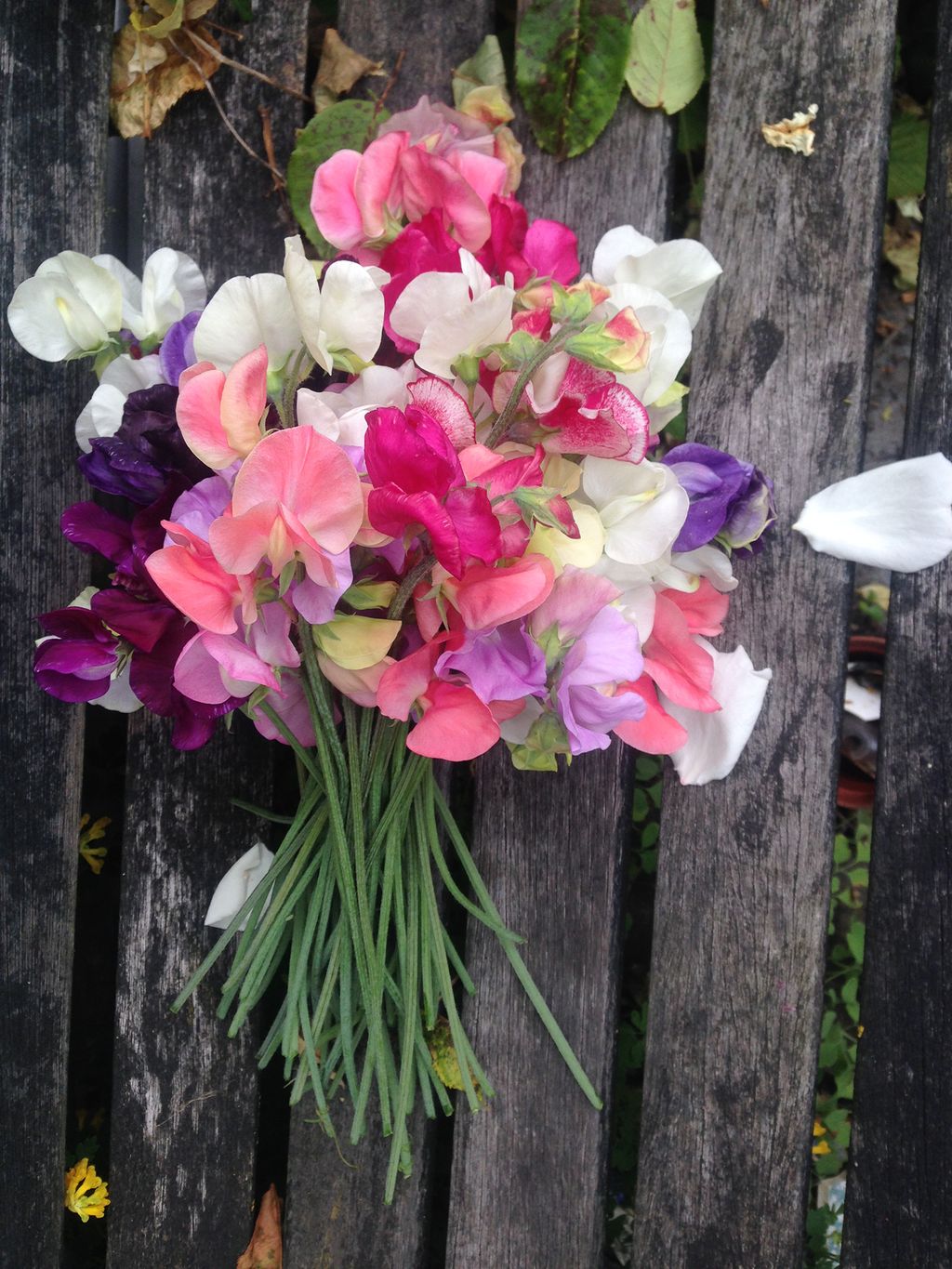 Image may contain Plant Flower Blossom Flower Arrangement and Flower Bouquet