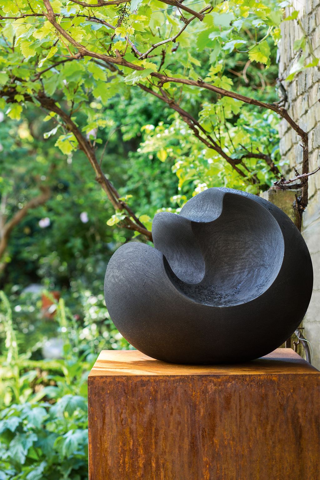 Image may contain Plant Tree Vegetation Bush Leaf and Wood