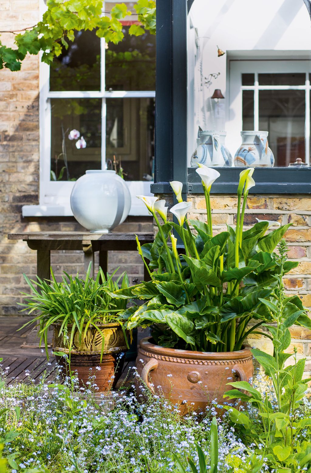 Image may contain Vase Plant Pottery Potted Plant Jar Planter Home Decor and Pot