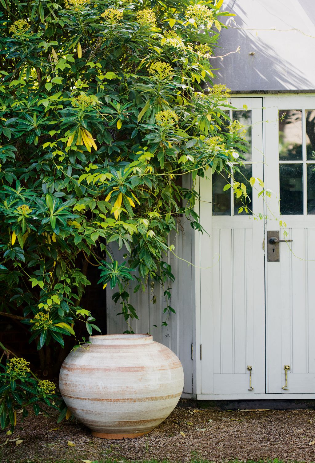 Image may contain Jar Plant Pottery Vase and Potted Plant