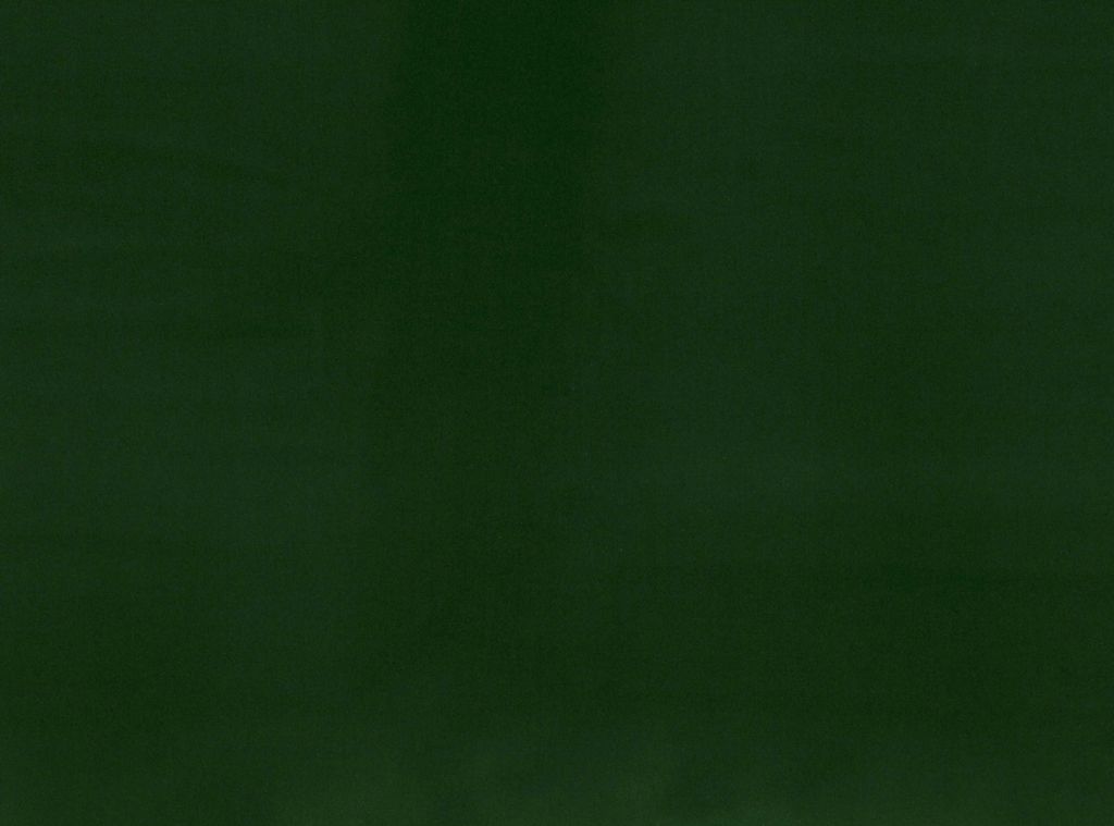 Image may contain Sports Sport Team and Team Sport