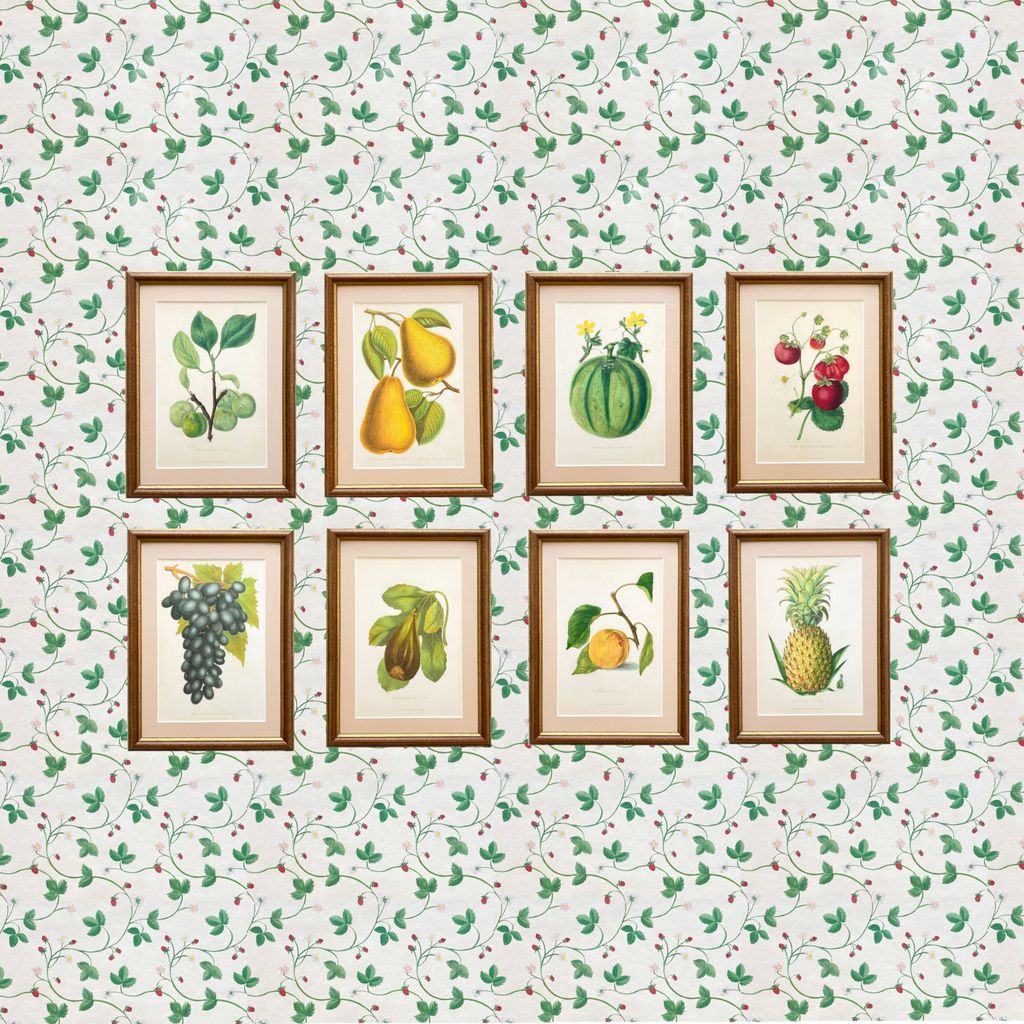Prints of 'Anderson's Fruit Wheat' 105 per print 670 for the set from Petri Prints.  buttongroup Shop now