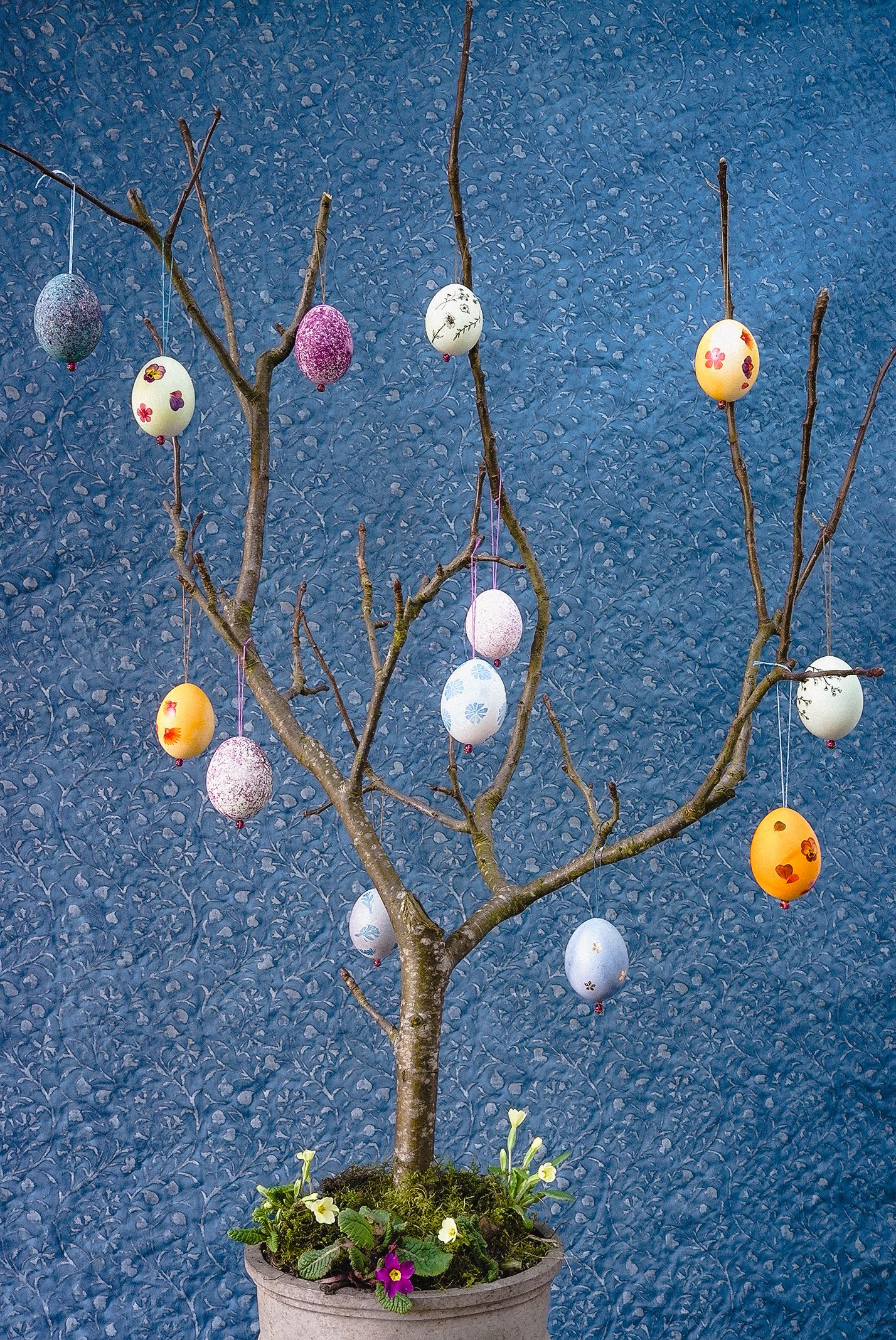 Image may contain Nature Sphere and Outdoors