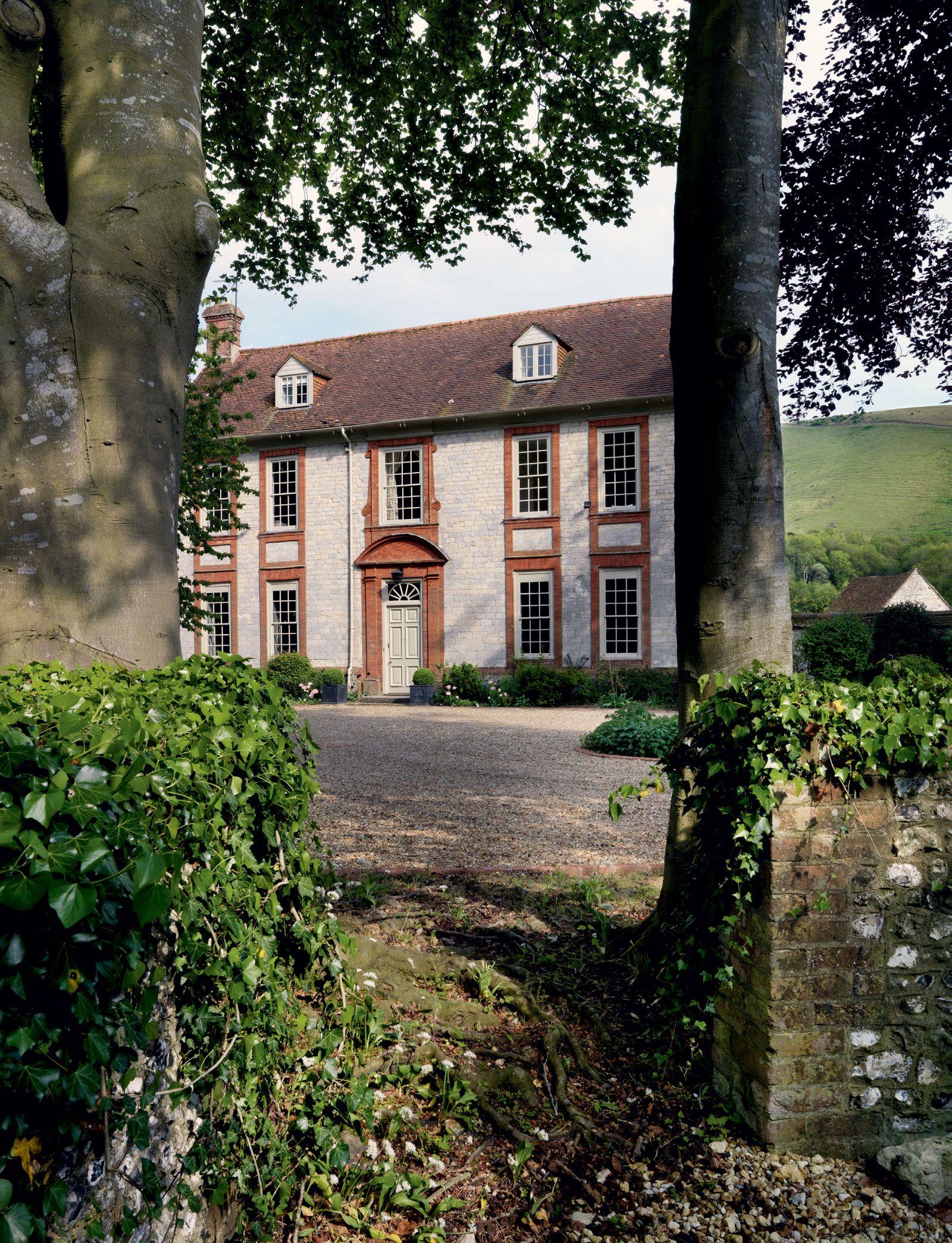 Image may contain Plant Tree and Tree Trunk