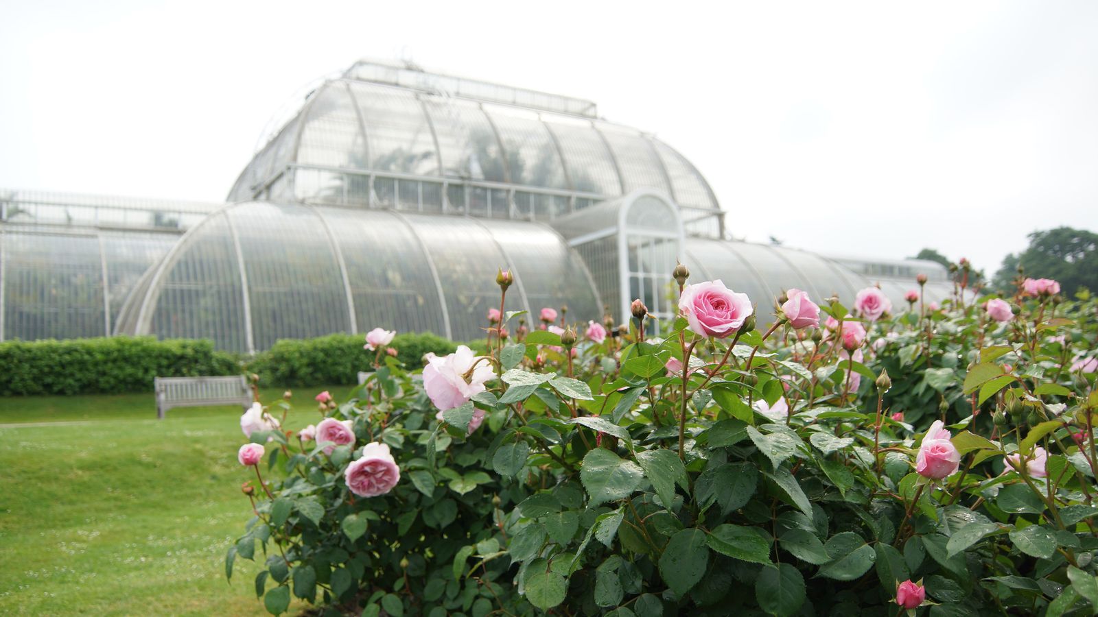 Summer at Kew Gardens