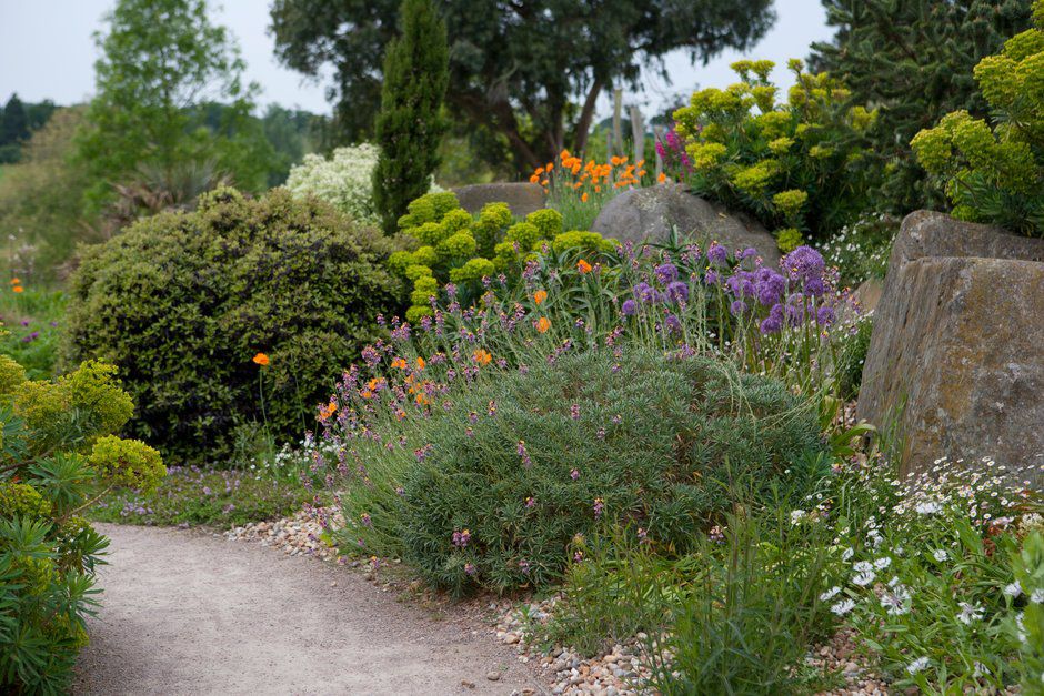 Image may contain Vase Plant Pottery Potted Plant Jar Flower Blossom Planter Herbs Outdoors and Herbal