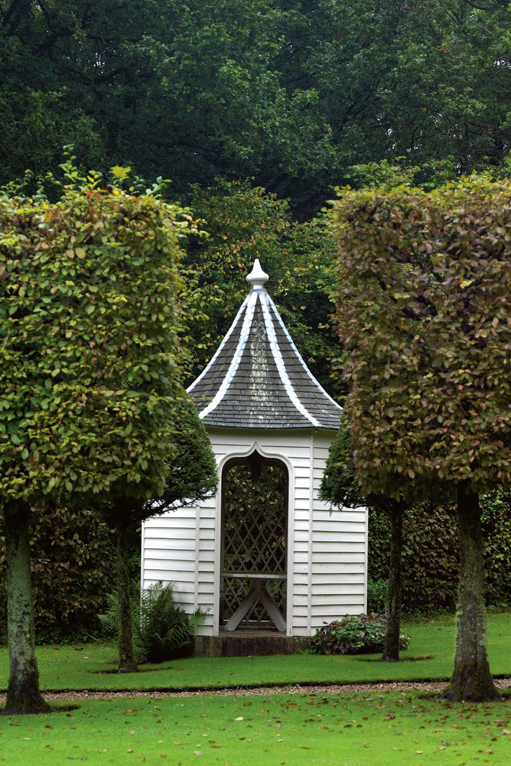 Image may contain Garden Arbour and Outdoors