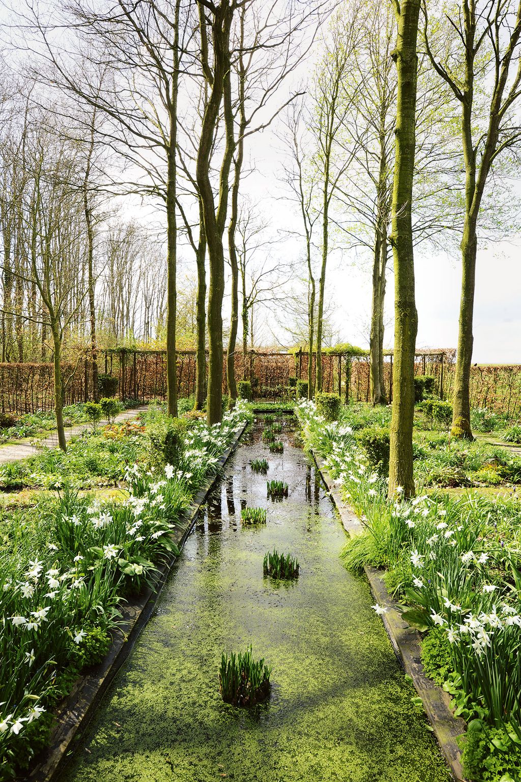 Image may contain Outdoors Nature Land Vegetation Plant Ditch Water Forest Tree and Woodland