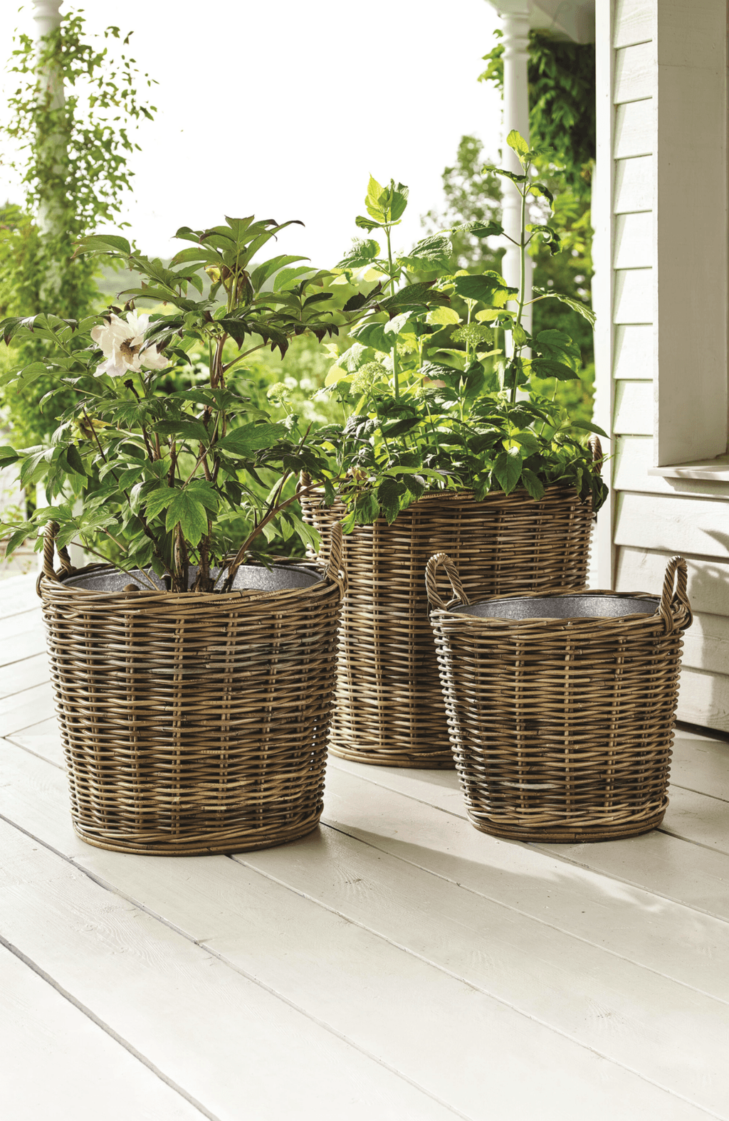 Image may contain Basket