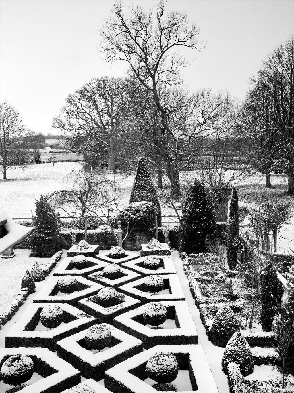 Image may contain Plant Rug and Outdoors