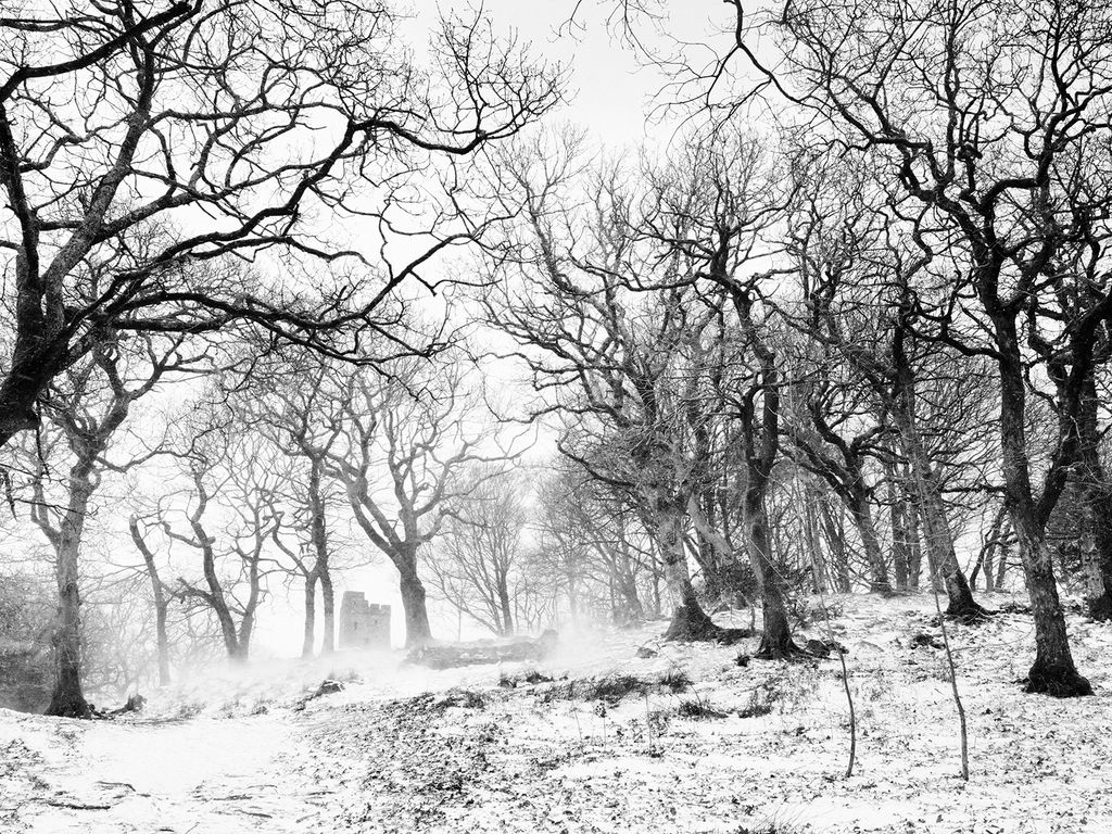 Image may contain Nature Outdoors Snow Winter and Storm