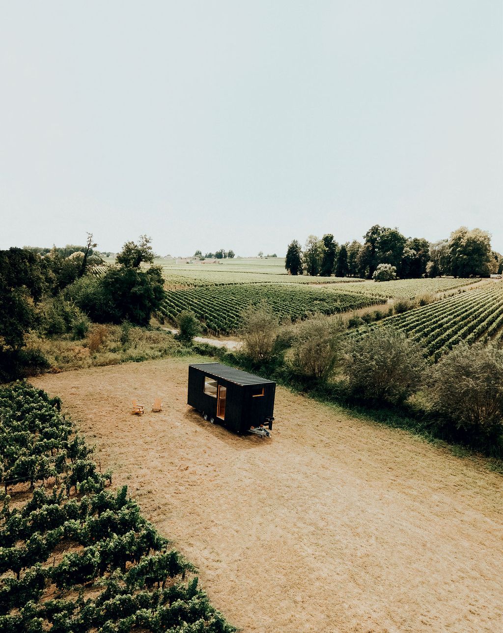 Image may contain Nature Outdoors Vegetation Plant Countryside Rural Farm Road Bush and Field