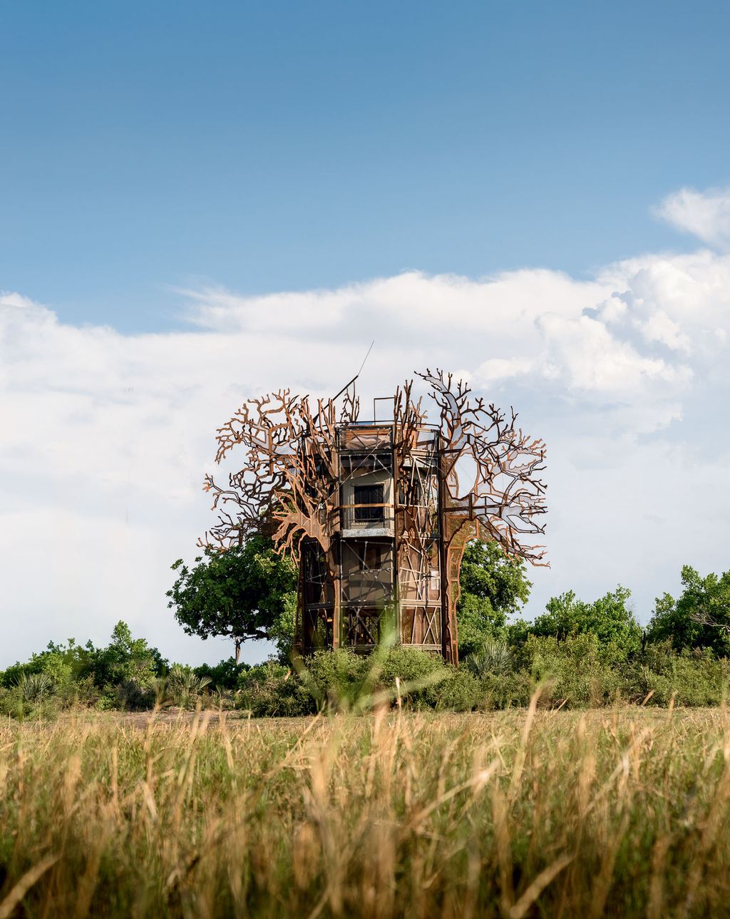 The metamorphosis of Xigera Camp to Xigera Safari Lodge has been exceptional a labour of love you might say. While the...