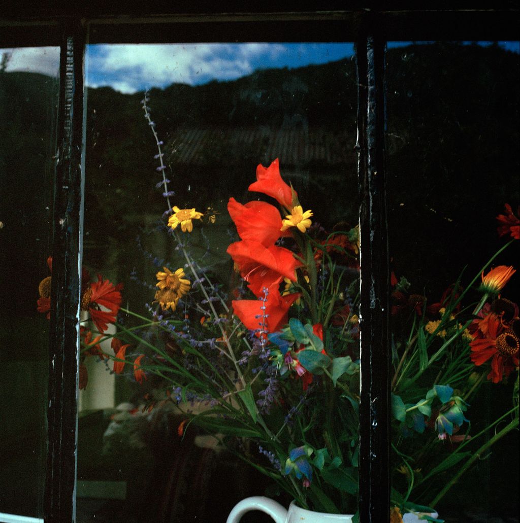 Image may contain Plant Flower Blossom Pottery Art Painting Vase Potted Plant and Jar