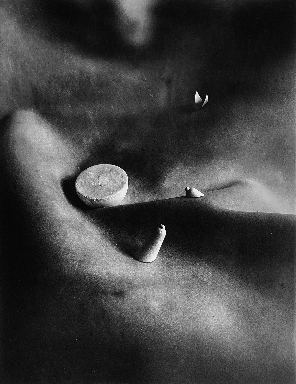 Image may contain Back Skin Finger Animal and Bird