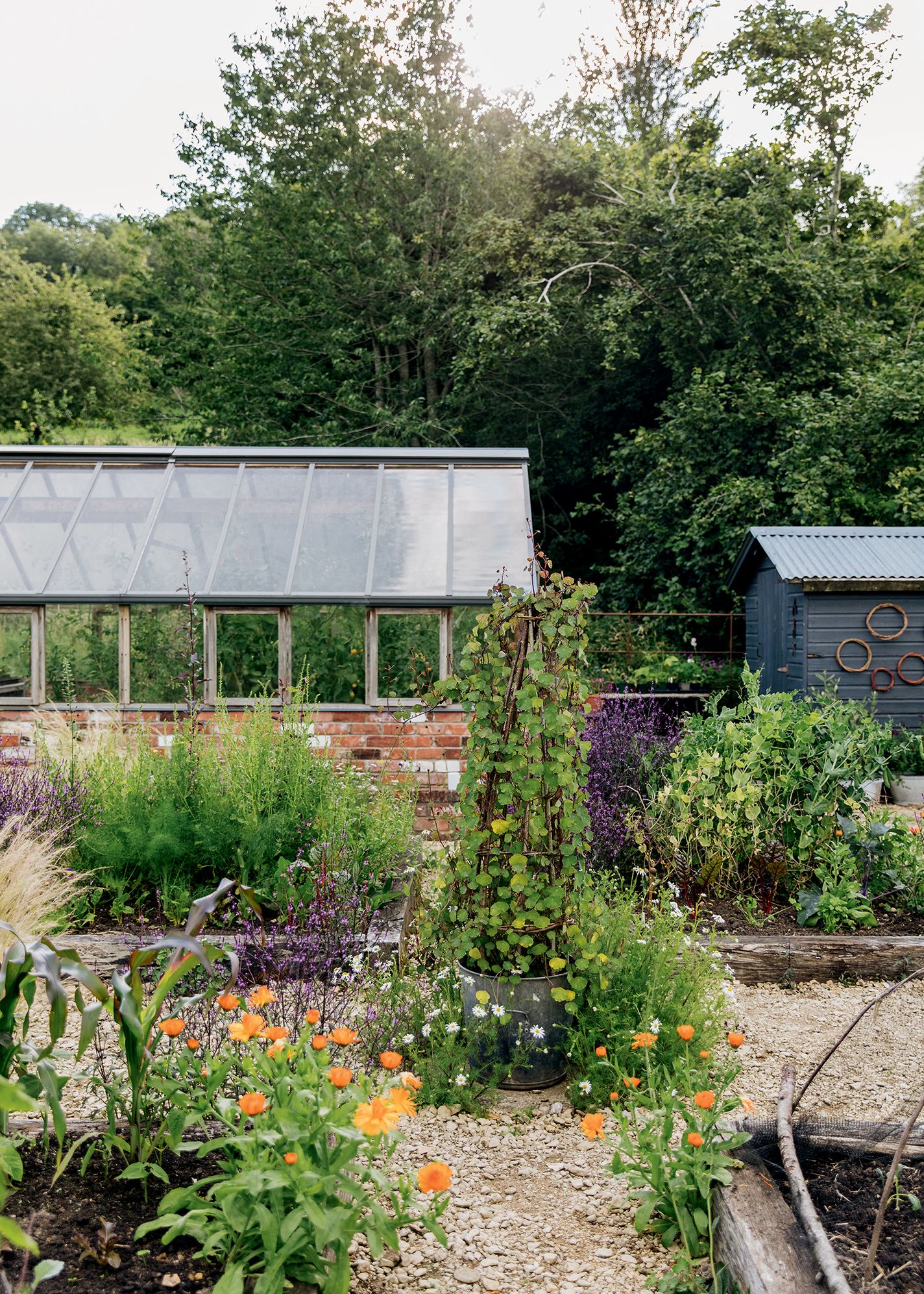 Image may contain Outdoors Garden Plant and Nature