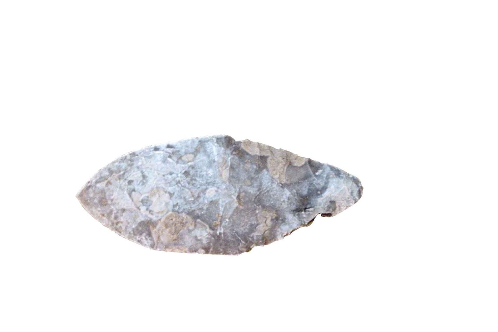 Image may contain Arrowhead