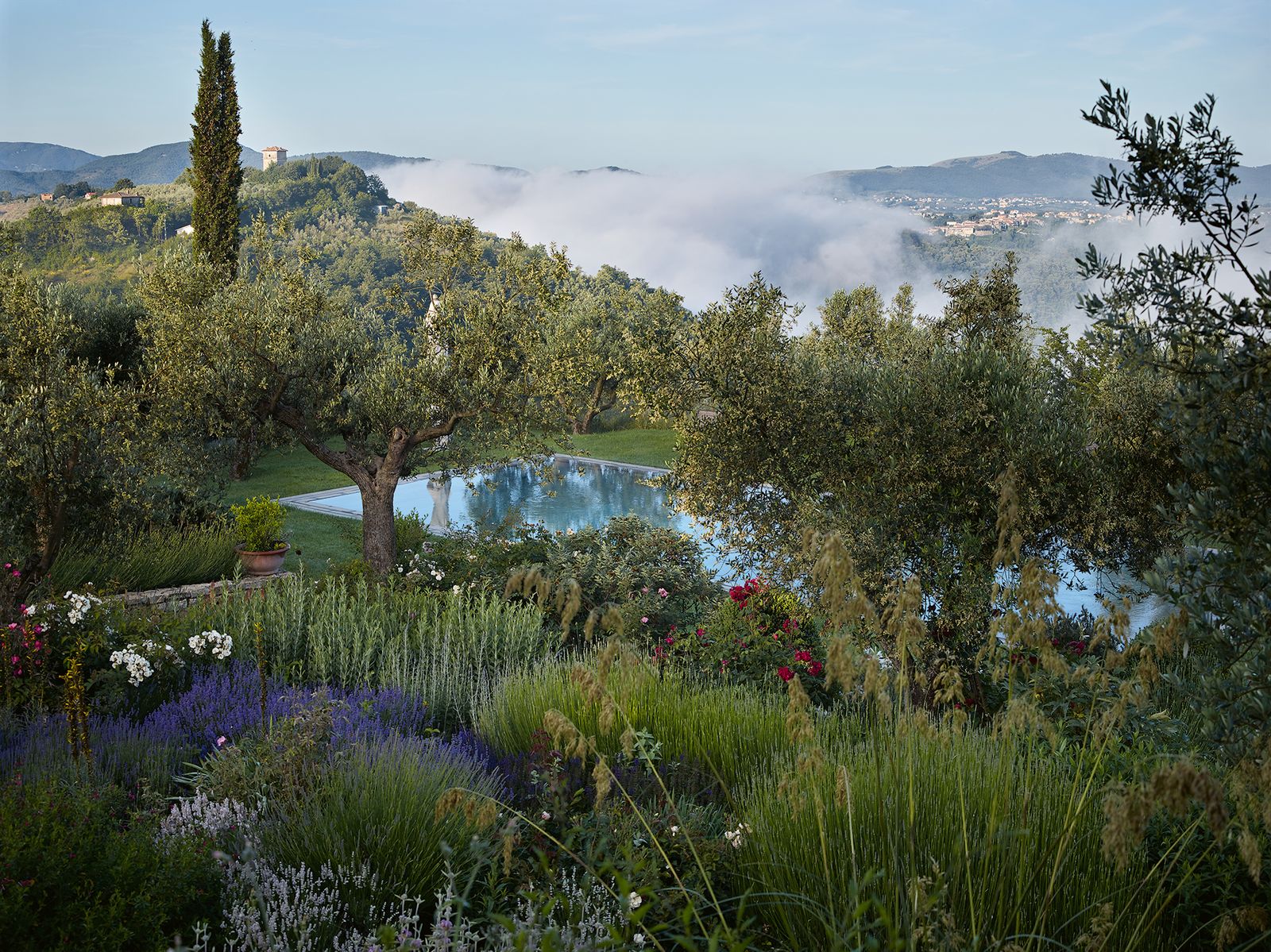 Brick steps lead to the swimming pool through flower beds where Paeonia rockii seedlings and roses are planted amongst...