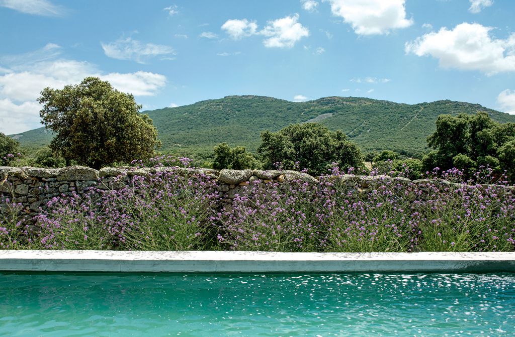 Image may contain Outdoors Nature Water Plant Flower and Blossom