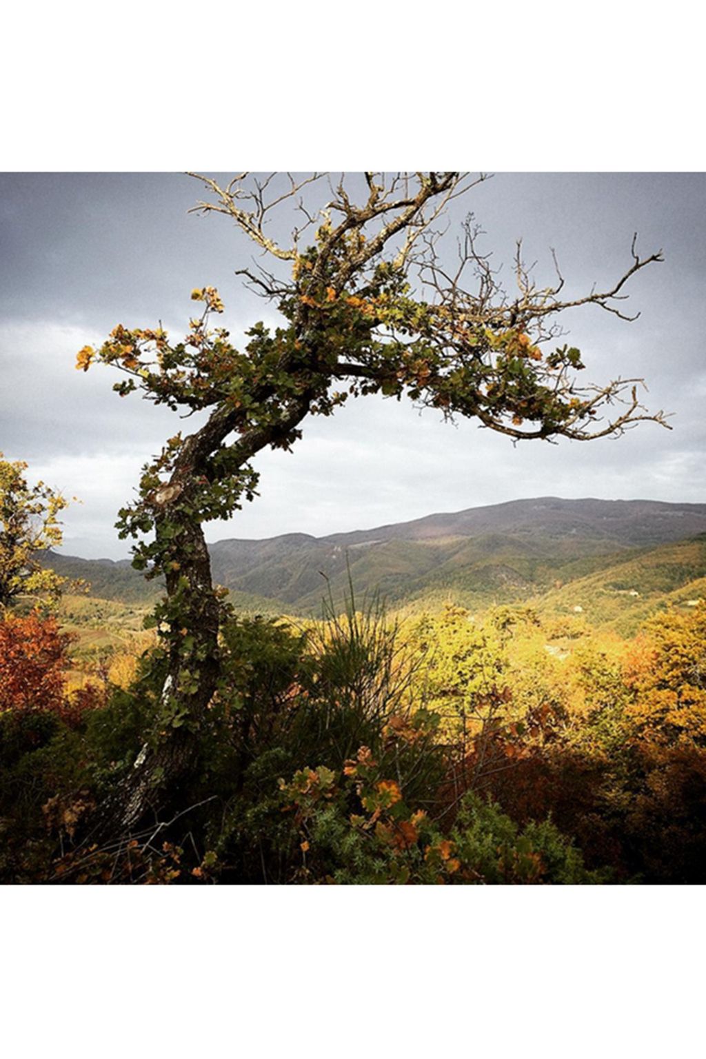 angielewin | Autumn Leaves on Instagram | Autumn Colours