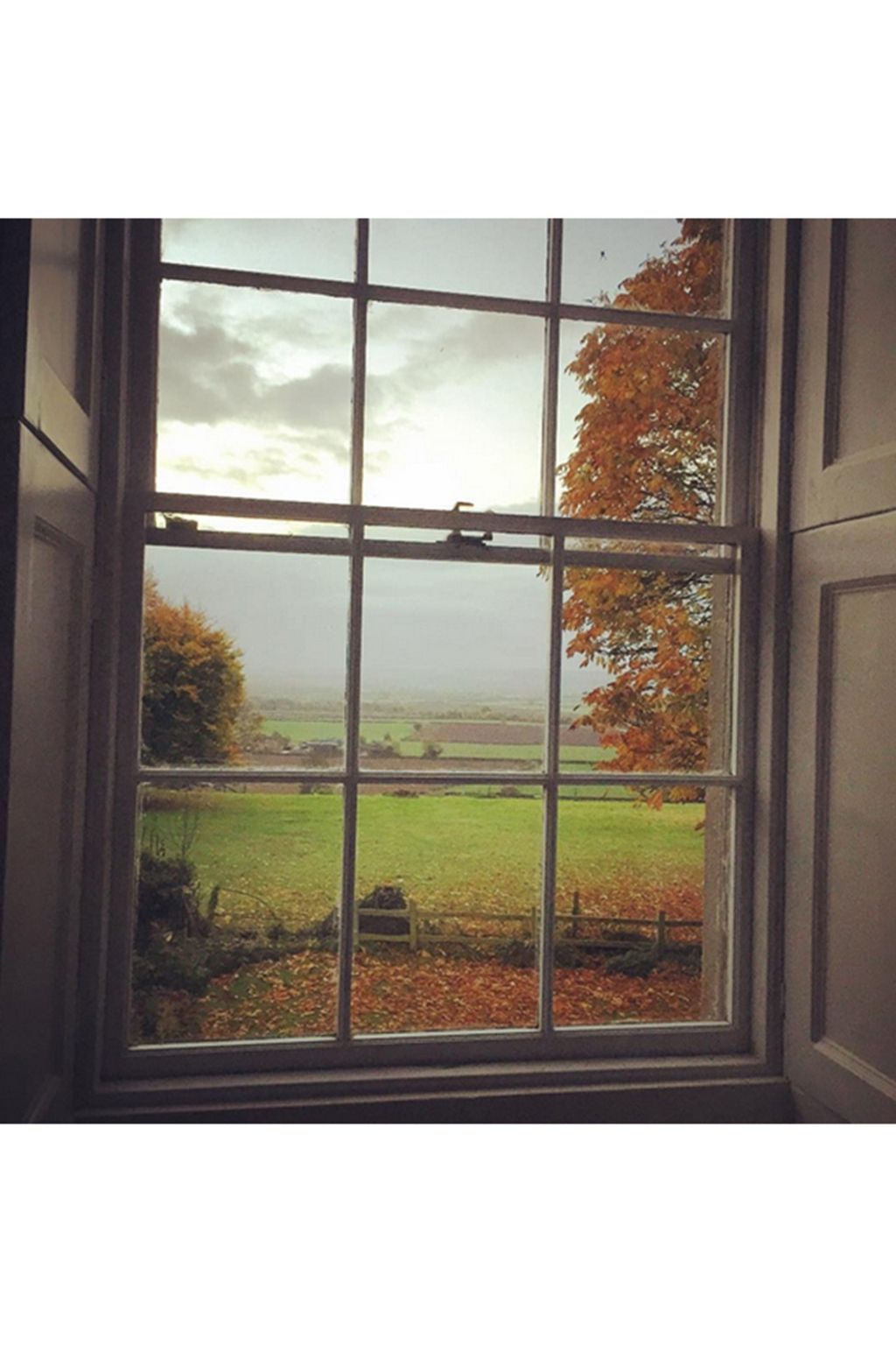 charlotteannefidler | Autumn Leaves Instagram | Autumn Colours