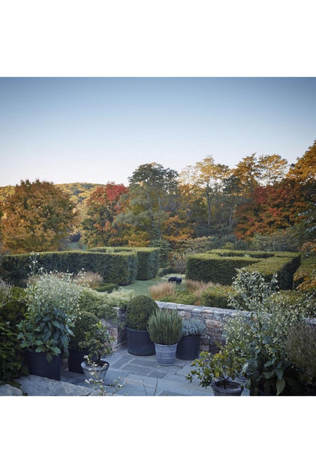 minhngoc | Autumn Leaves on Instagram | Autumn Colours