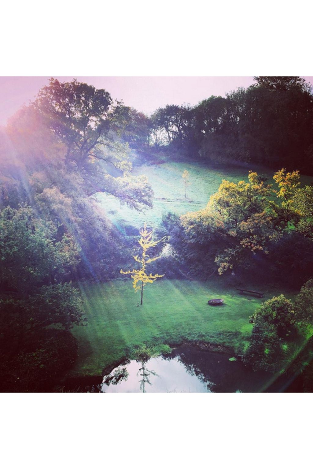 Autumn Leaves on Instagram | Autumn Colours