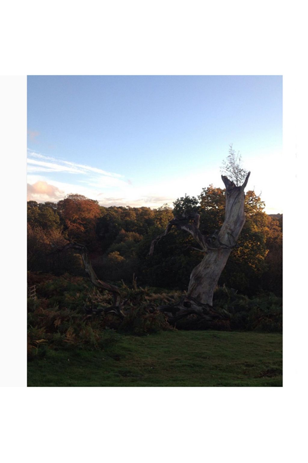 Autumn Leaves on Instagram | Autumn Colours