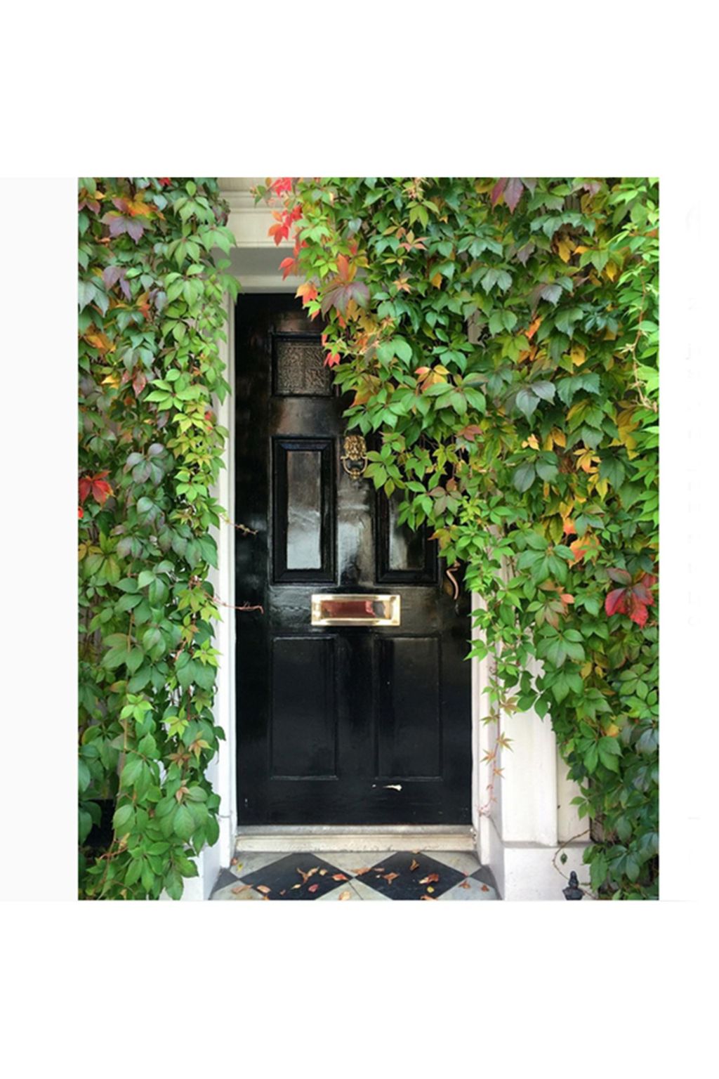 janebrocket | Autumn Leaves on Instagram | Autumn Colours