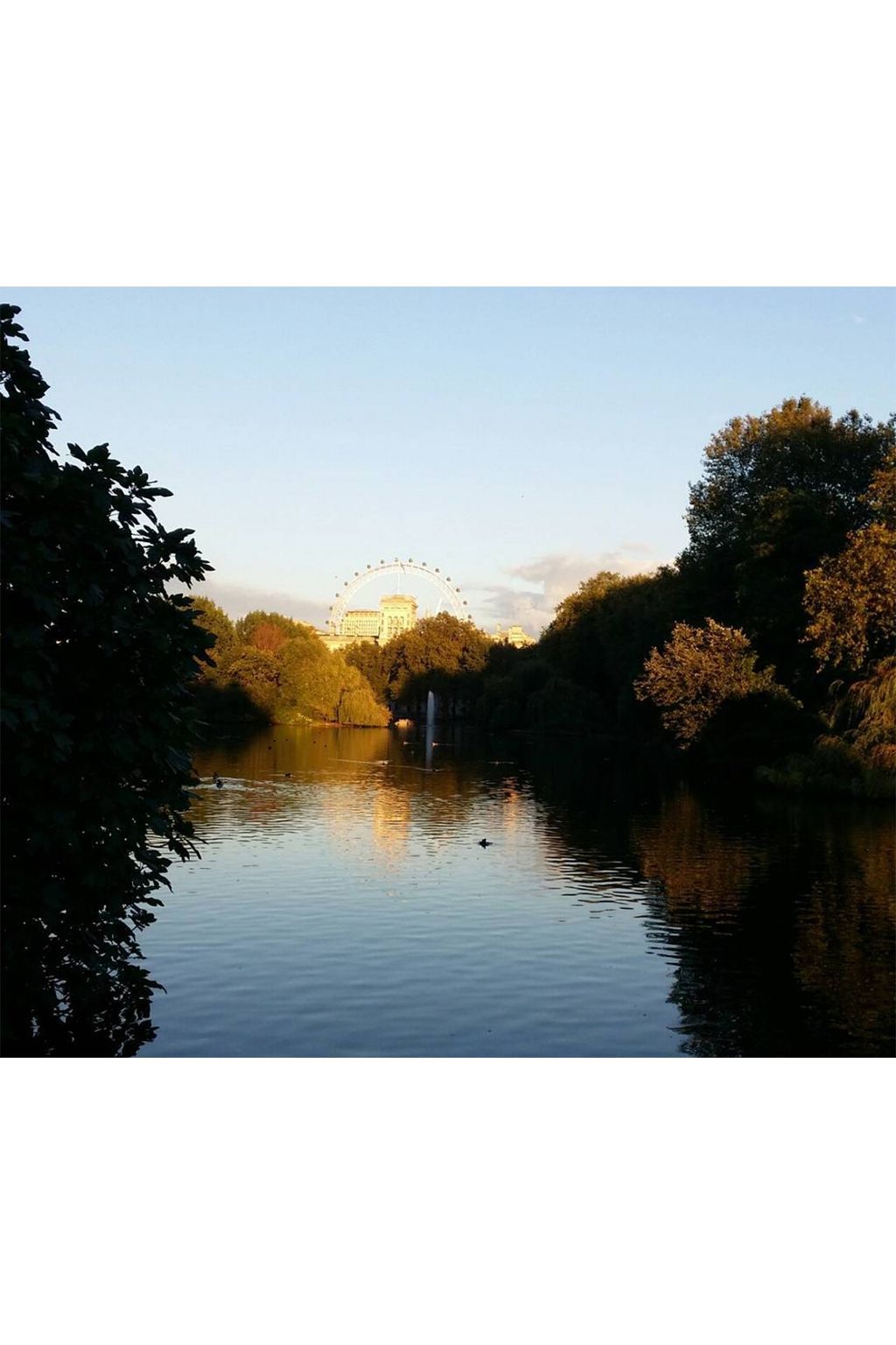 Autumn Leaves on Instagram | Autumn Colours