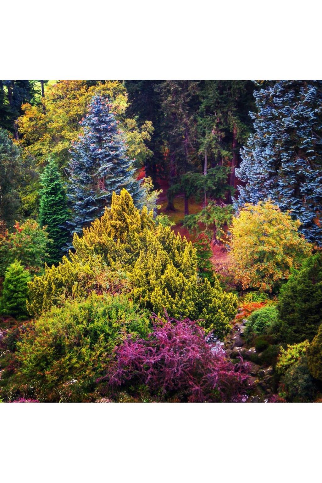 Autumn Leaves on Instagram | Autumn Colours