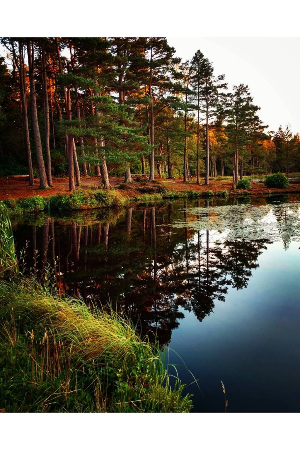 Autumn Leaves on Instagram | Autumn Colours