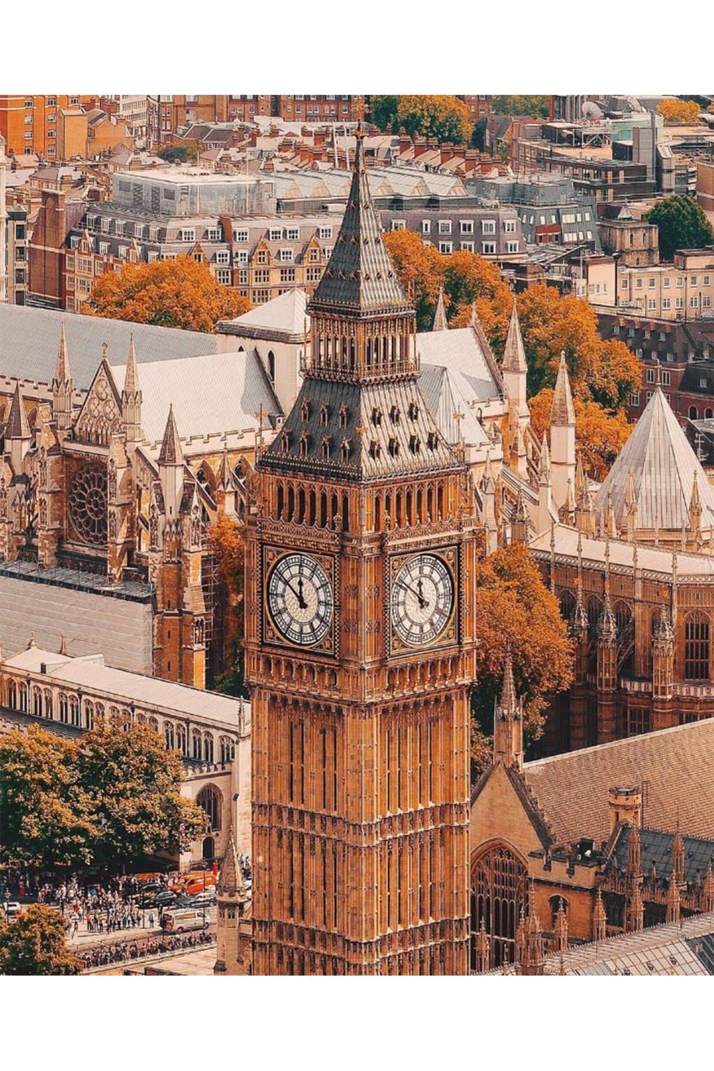 Autumn Leaves on Instagram | Autumn Colours