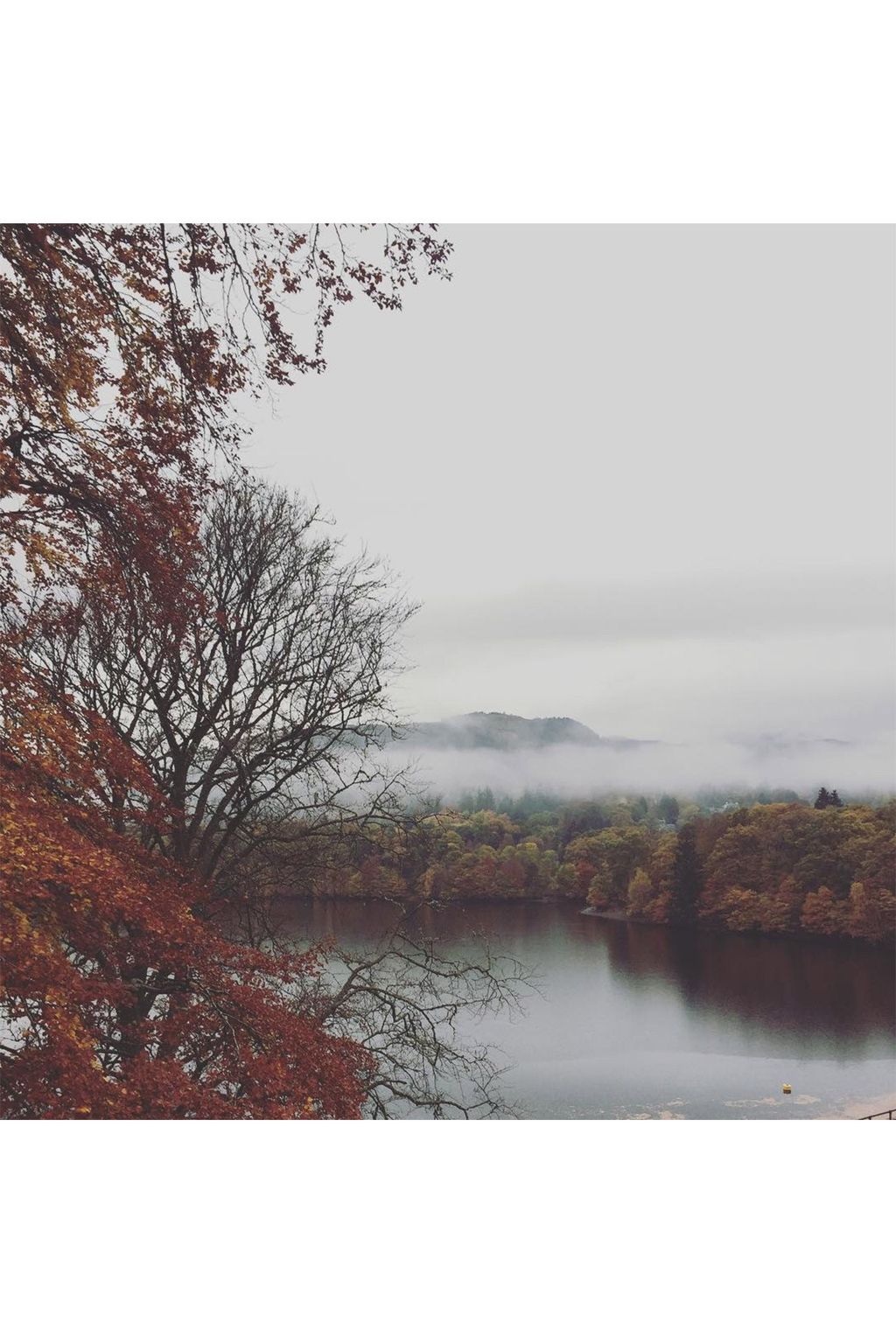 Autumn Leaves on Instagram | Autumn Colours