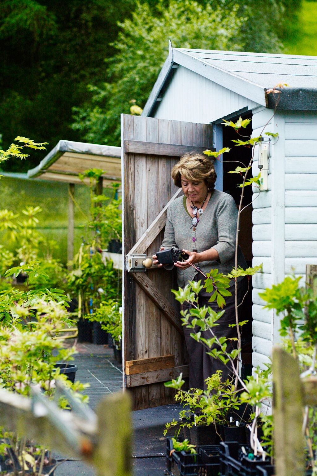 Potting Shed  The Garden of Designer Arabella LennoxBoyd | Designers' Gardens