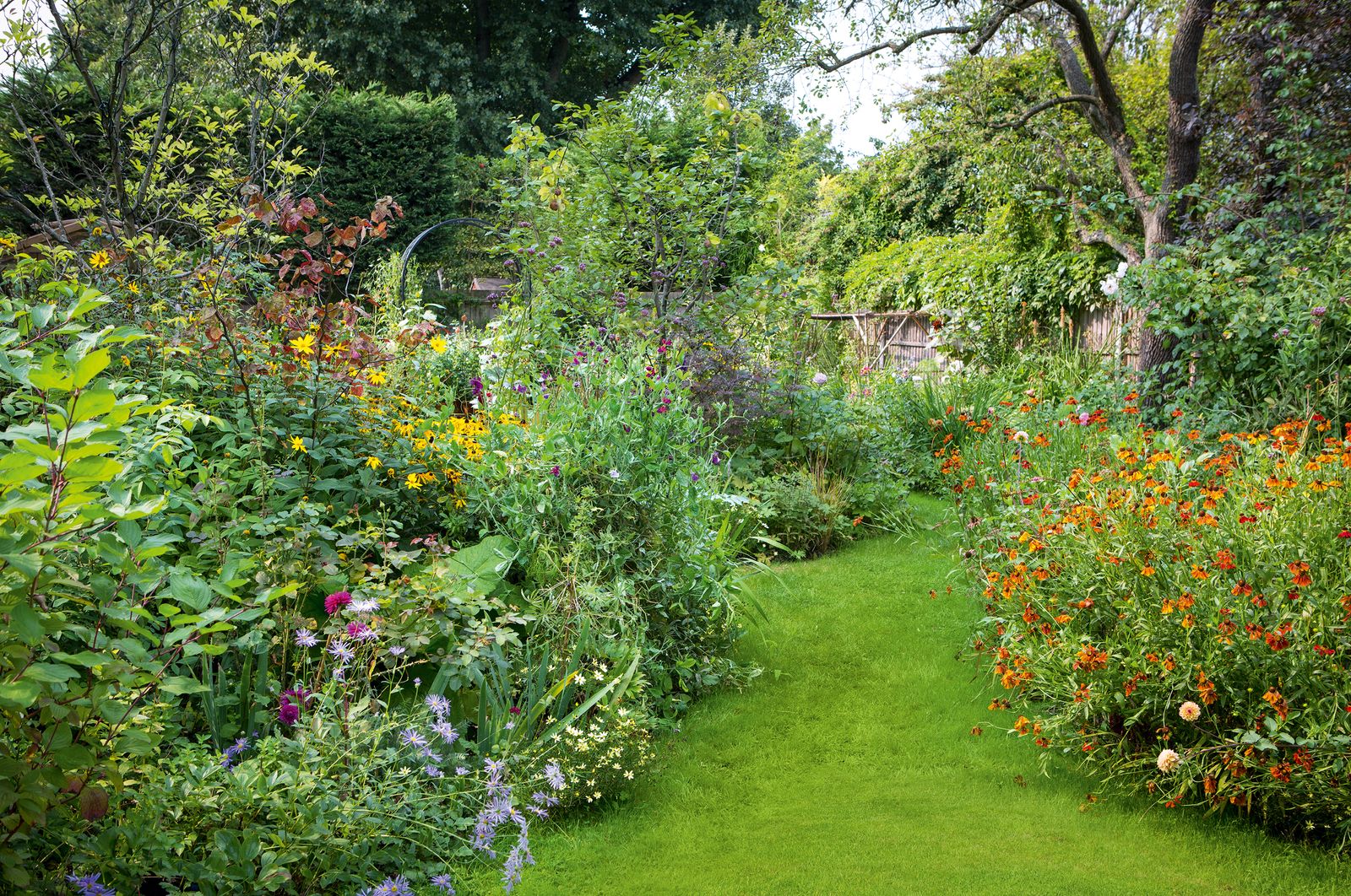 The lawn narrows toward the back circling around an island bed featuring dahlias.