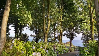 Image may contain Garden Arbour Outdoors Plant Gravel Road Dirt Road and Tree