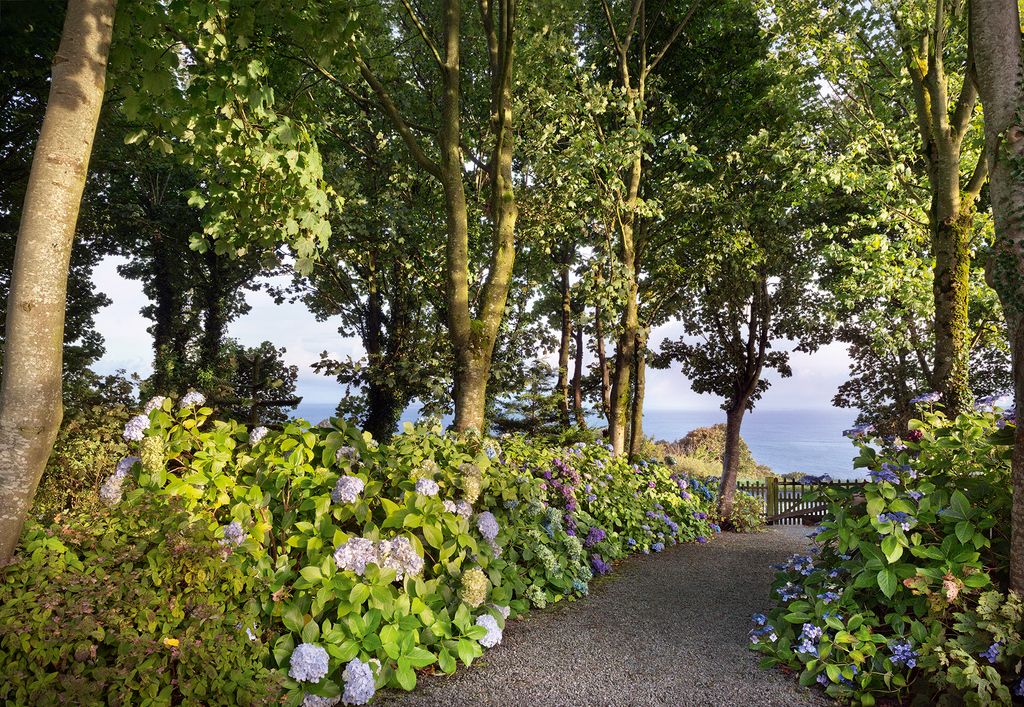 Image may contain Garden Arbour Outdoors Plant Gravel Road Dirt Road and Tree