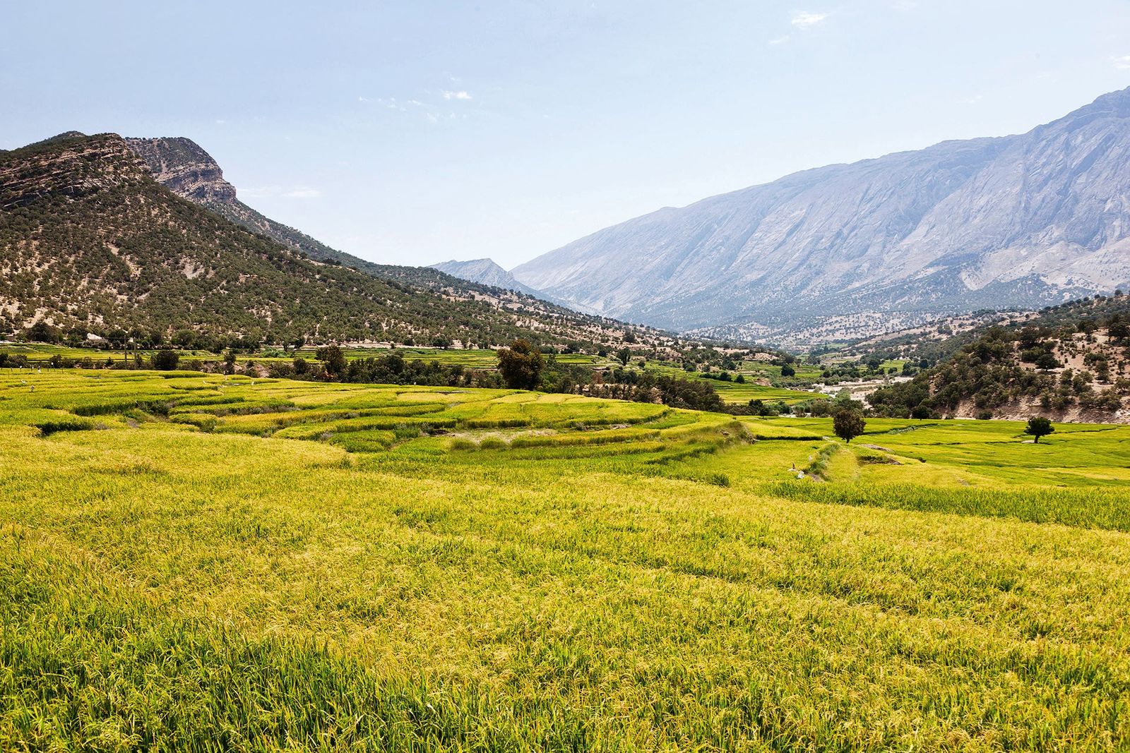 Where to go in Iran | Hotels Restaurants  attractions