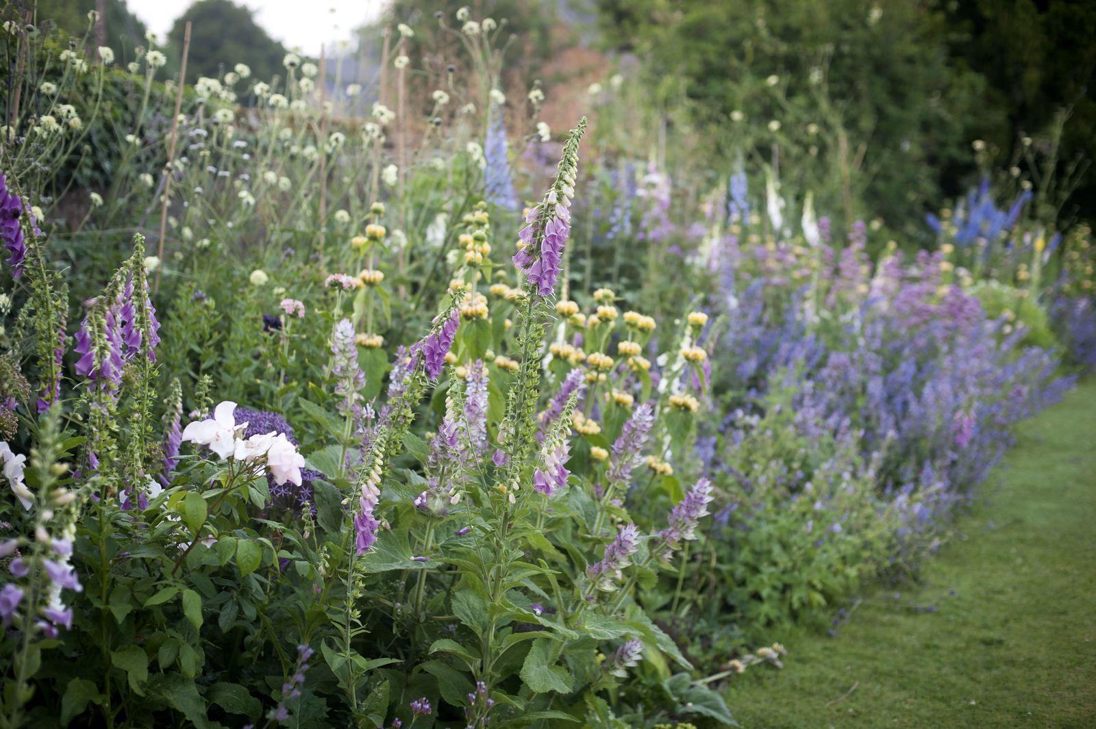 The perennial border at Wardington Manor