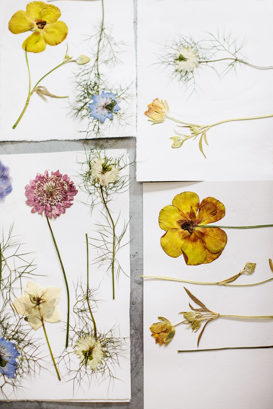 Image may contain Plant Vase Pottery Potted Plant Jar Flower Blossom Planter Herbs Herbal Petal and Advertisement