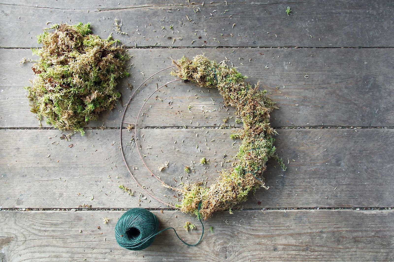 Image may contain Plant Moss Wood and Flagstone