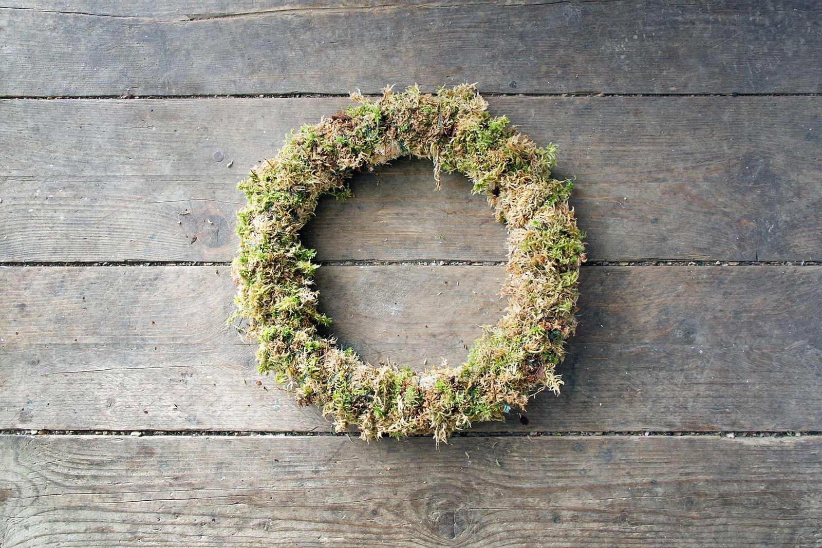 Image may contain Wreath