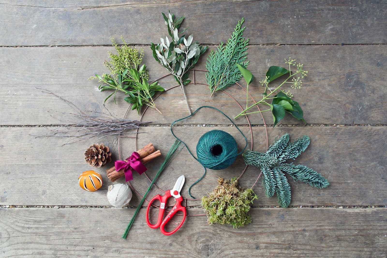 Image may contain Plant Pottery Vase Potted Plant Jar Planter Herbs Leaf and Herbal