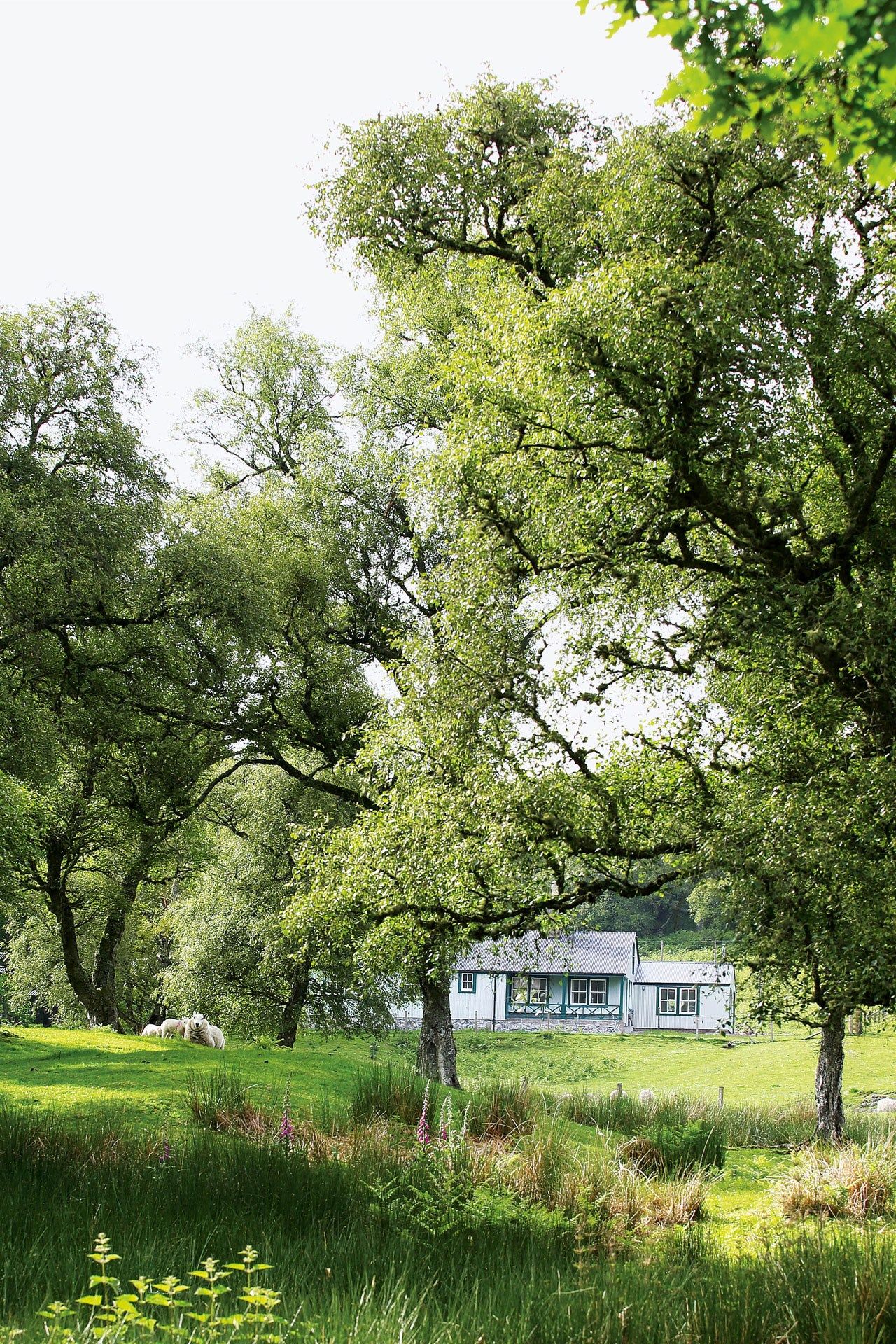 A tiny Scottish fishing lodge lovingly restored