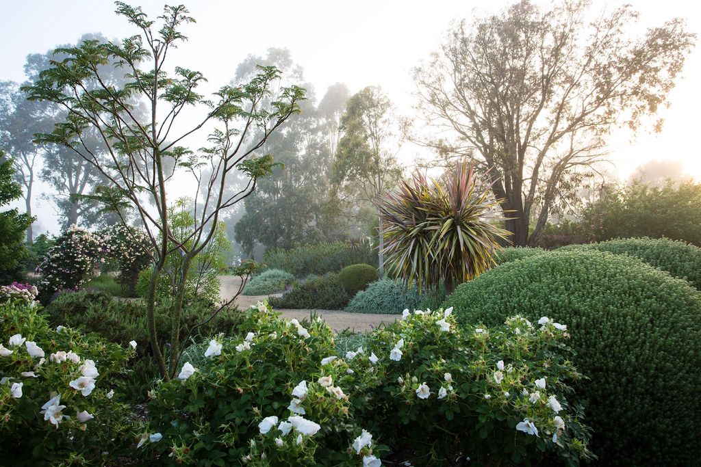 Image may contain Plant Outdoors Garden and Arbour