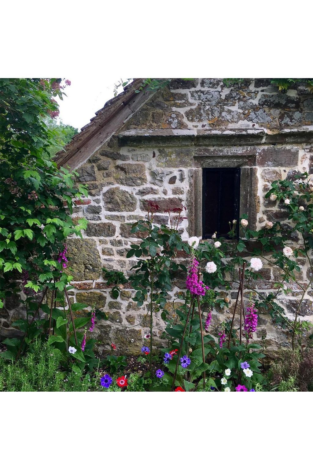 Cottage Garden South Downs | Views of the English countryside from Instagram