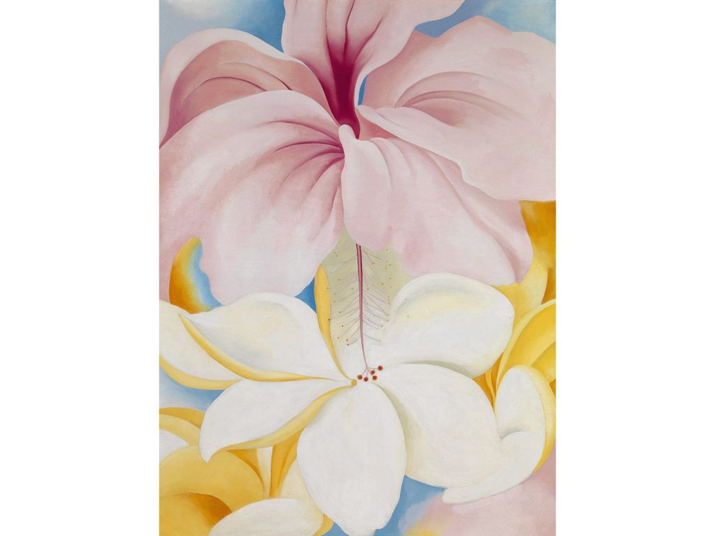 Image may contain Plant Flower Blossom and Geranium