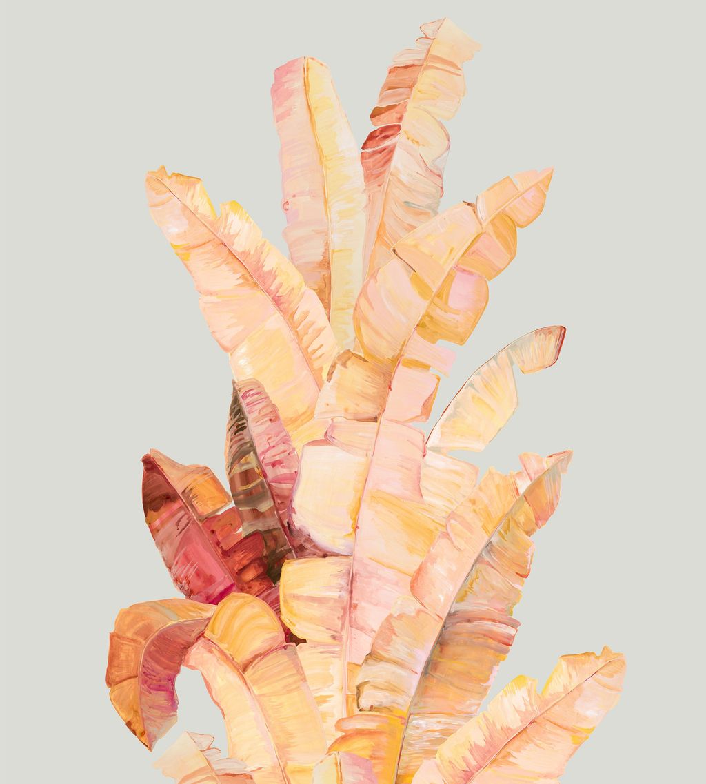 Image may contain Peel and Sliced