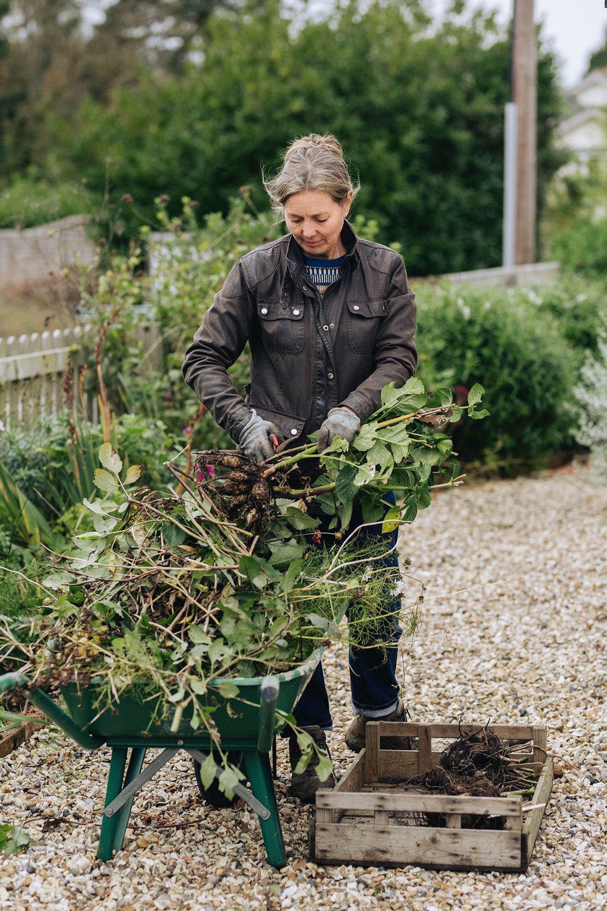 Image may contain Garden Gardener Outdoors Human Worker Gardening Person Furniture and Bench